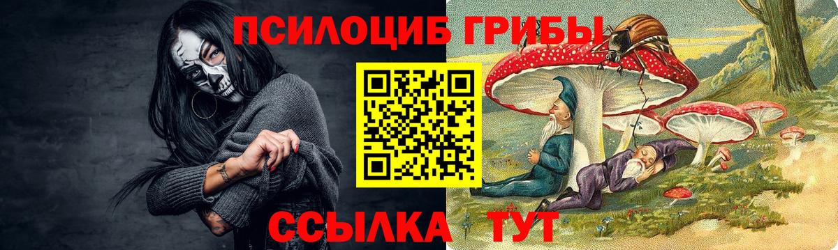 Шали  Галлюциногенные грибы MAGIC MUSHROOMS  Вход с VPN  Галлюциногенные грибы MAGIC MUSHROOMS 